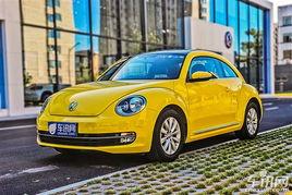 沈旭爆料甲壳虫视频大全,甲壳虫视频大全背后的精彩瞬间 第1张 沈旭爆料甲壳虫视频大全,甲壳虫视频大全背后的精彩瞬间 第1张